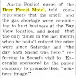 Deer Forest Motel (Sleepy Hollow Motel) - July 1973 Smell From Local Mill (newer photo)